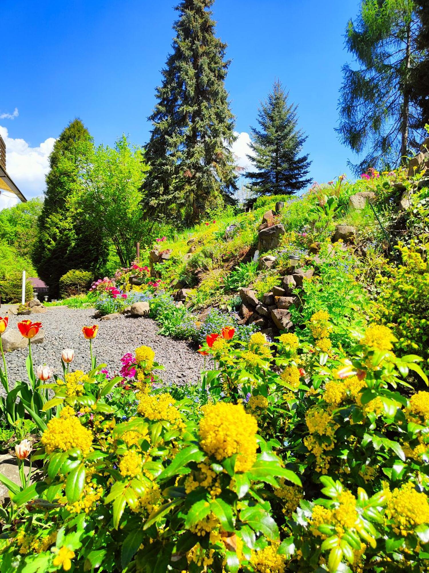 Bed And Breakfast Tvrz Velka Bukovina Екстер'єр фото
