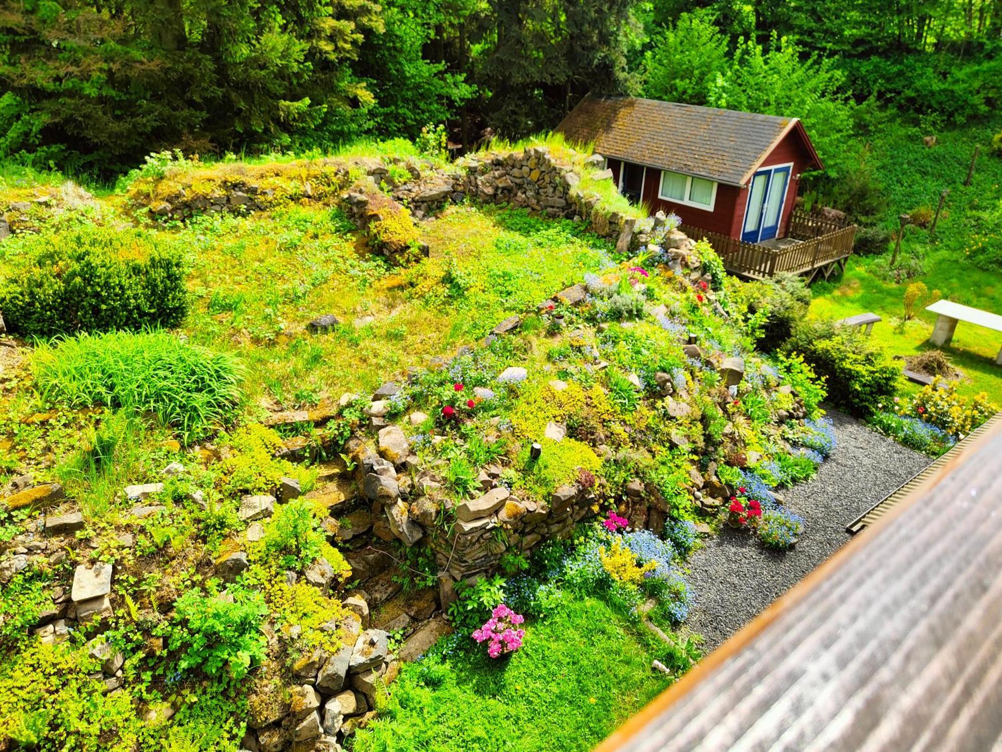 Bed And Breakfast Tvrz Velka Bukovina Екстер'єр фото