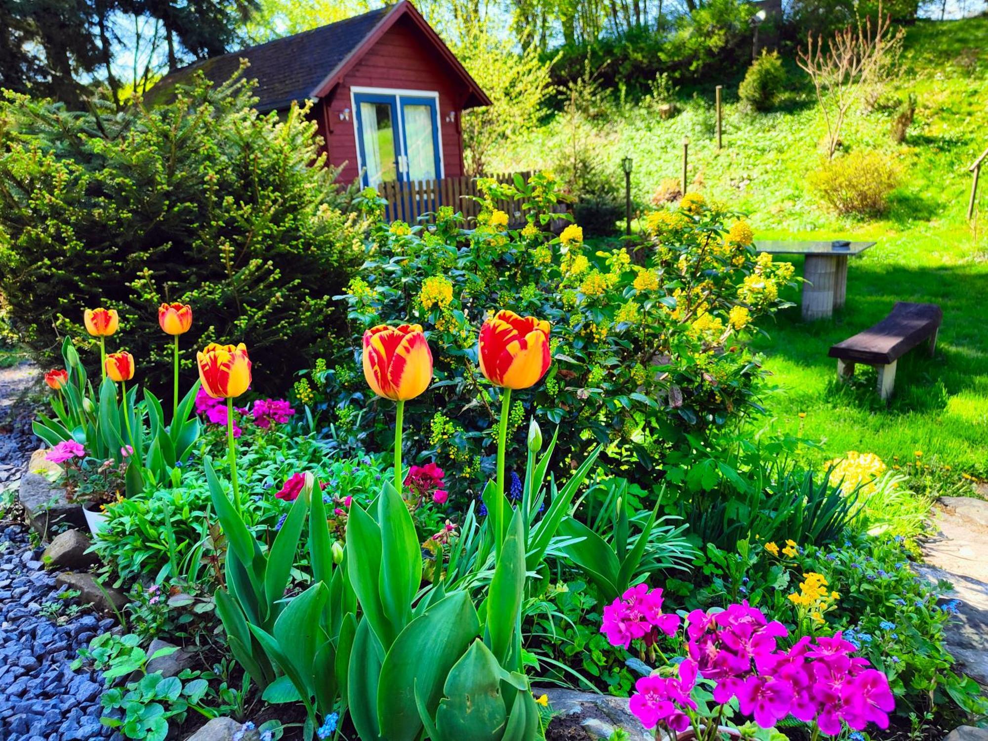 Bed And Breakfast Tvrz Velka Bukovina Екстер'єр фото