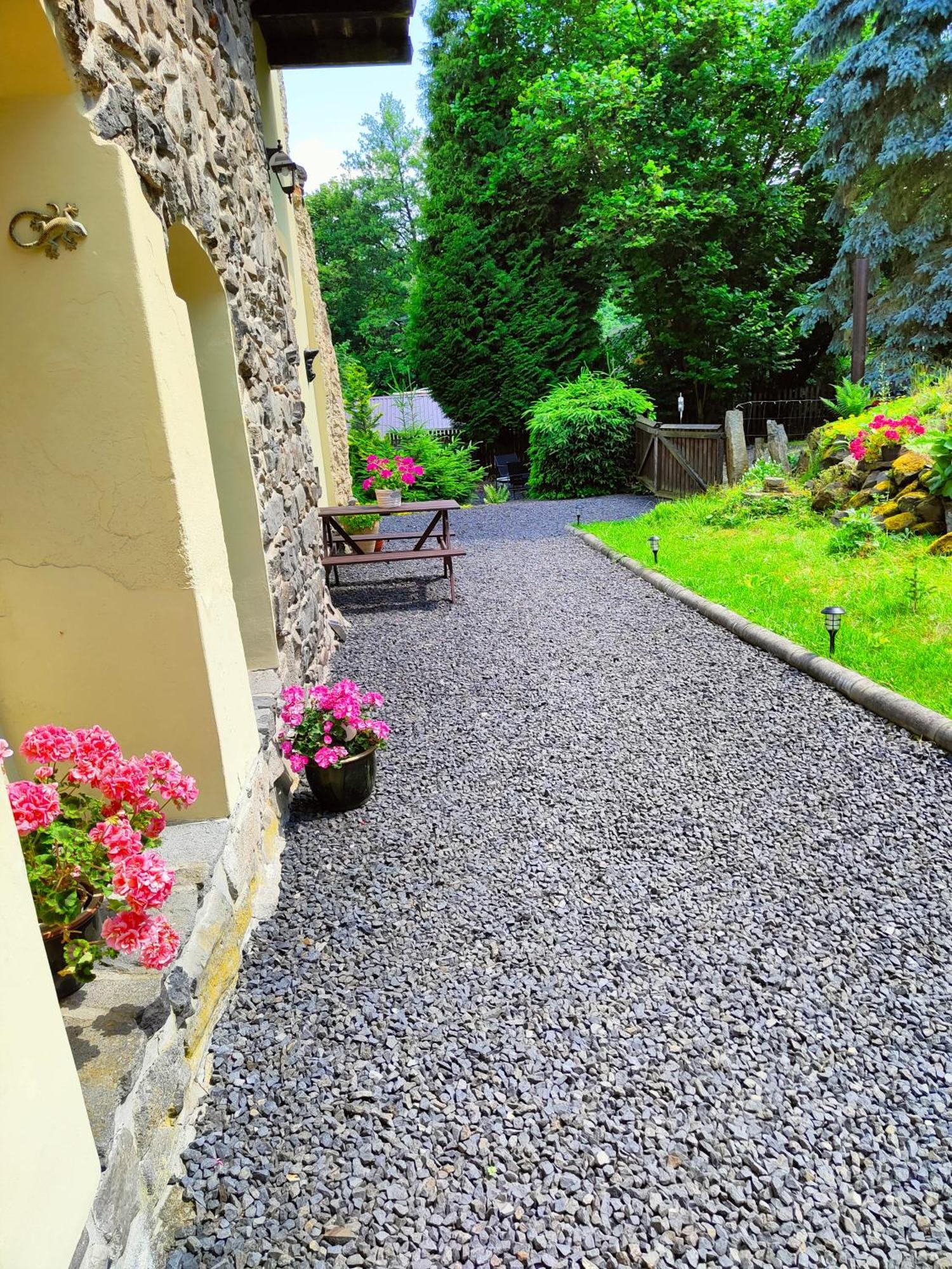 Bed And Breakfast Tvrz Velka Bukovina Екстер'єр фото