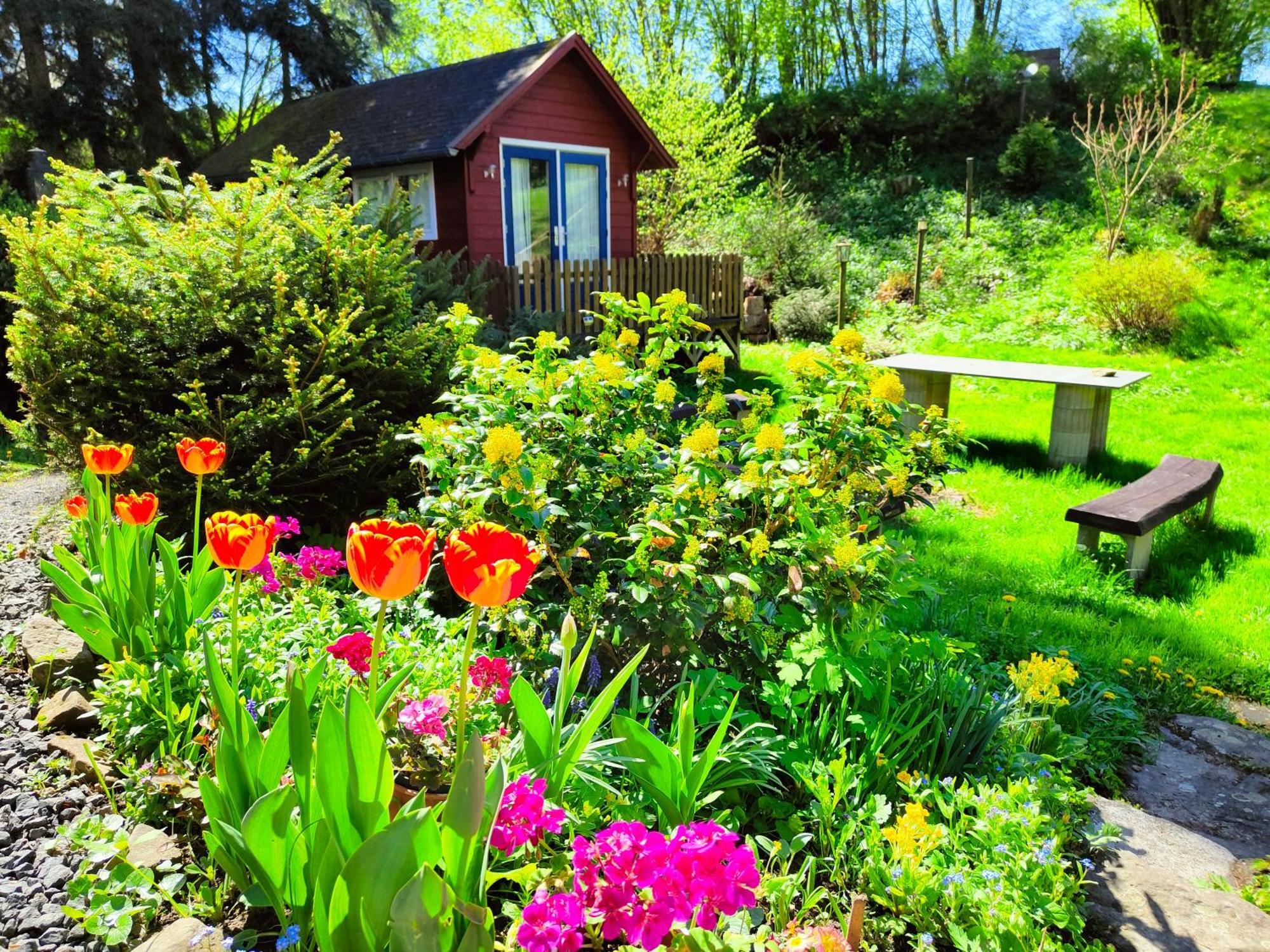 Bed And Breakfast Tvrz Velka Bukovina Екстер'єр фото